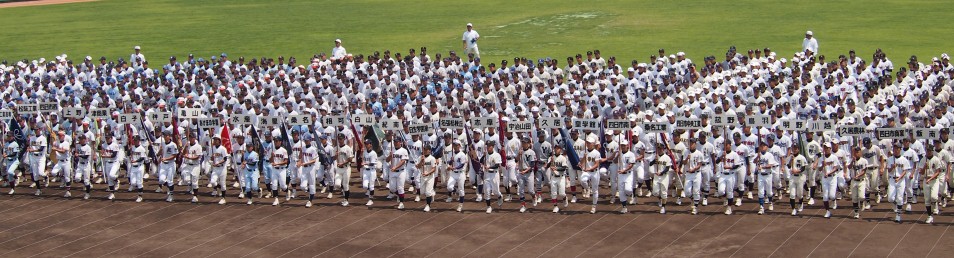 静岡 県 高校 野球 夏 大会 2019